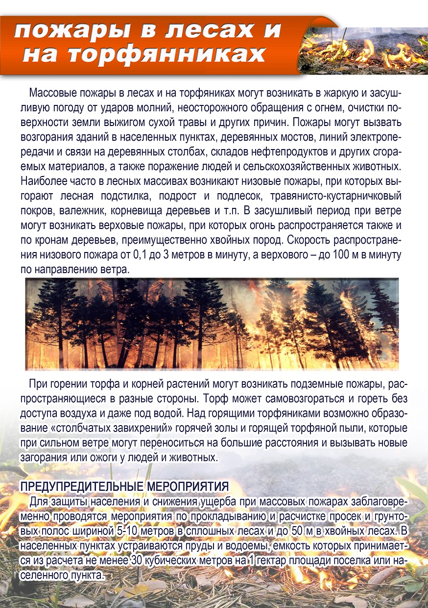 пожары в лесах и на торфянниках1.jpg